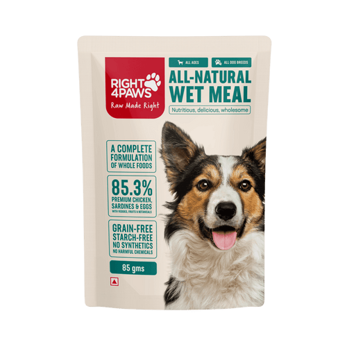 All-Natural Dog Wet Meal - Right4Paws