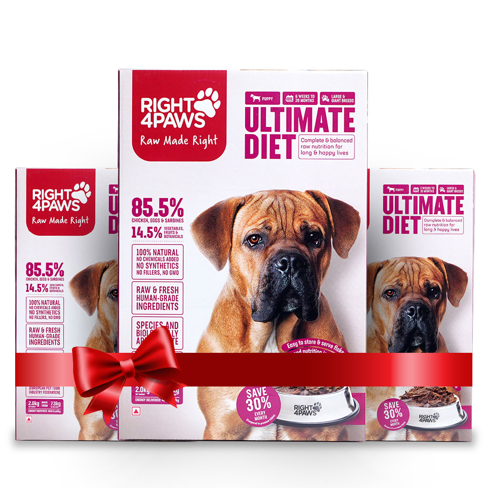 Ultimate Diet - Large & Giant Puppy