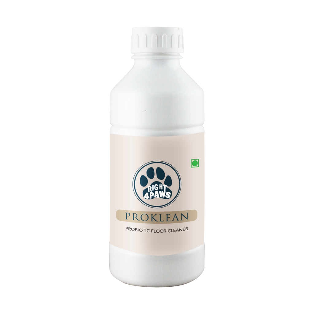 Best Probiotic Floor Cleaner For Dog