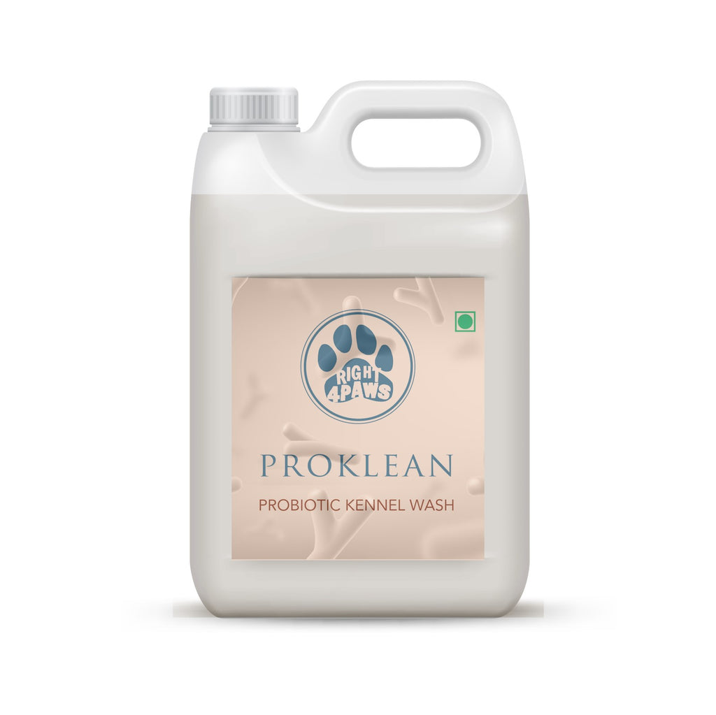 Best Probiotic Kennel Wash For Dog