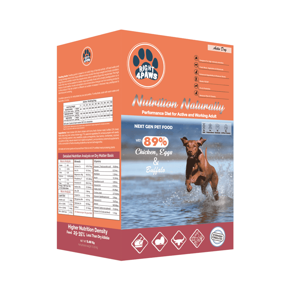 what supplements should i give my pregnant dog