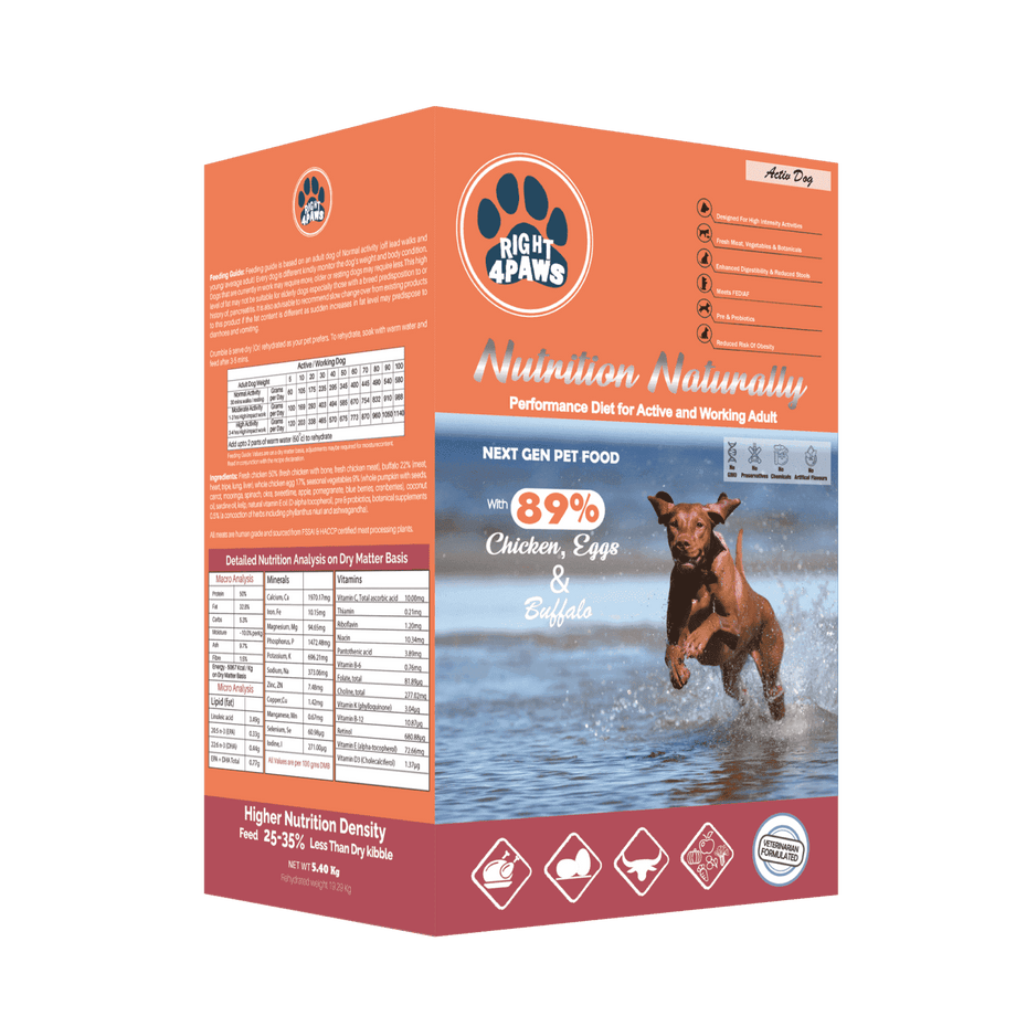Performance Diet for Active Working Pregnant Lactating Dogs