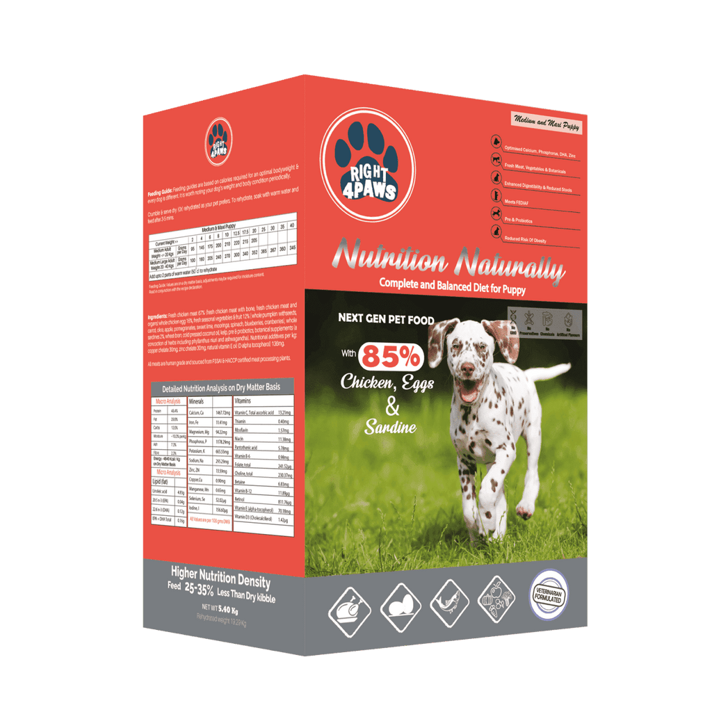 Best Medium & Maxi Breeds (Puppies) Dog Food