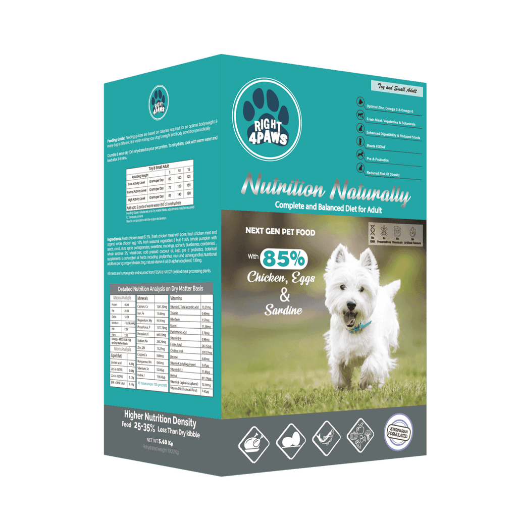 Dog Food Right4Paws