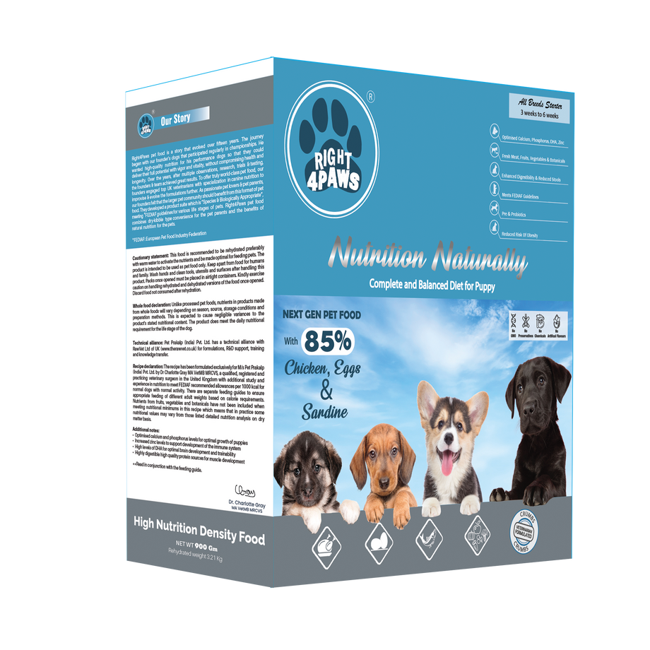 What can you feed 2024 a 6 week old puppy